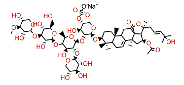 Cucumarioside H2